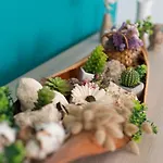 Charming Etna House Giarre